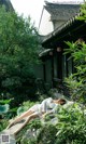 A woman laying on a rock in a garden.